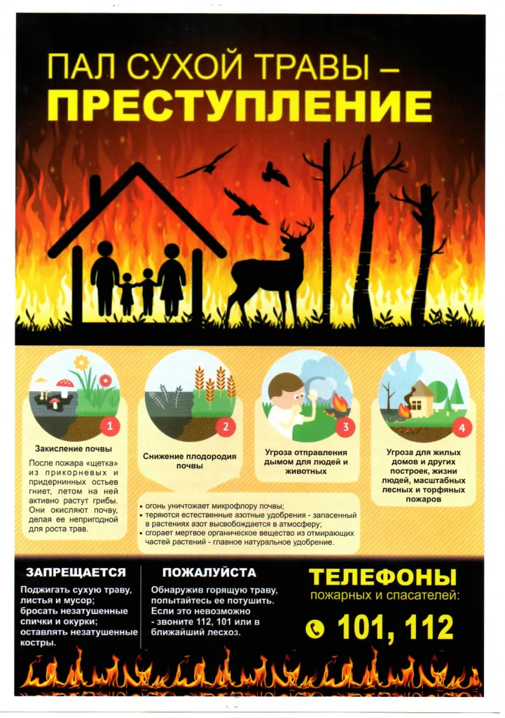 Трава1